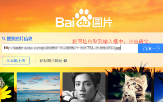 久久tv中文字幕首页